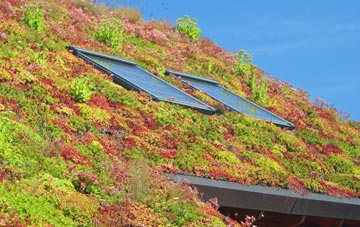 Little Shrewley living roof systems