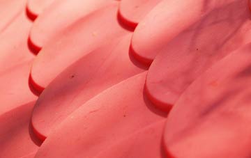 Little Shrewley plastic roof costs